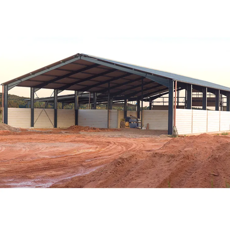 Industrial Shed Design Prefabricated Building Big Steel Structure Warehouse